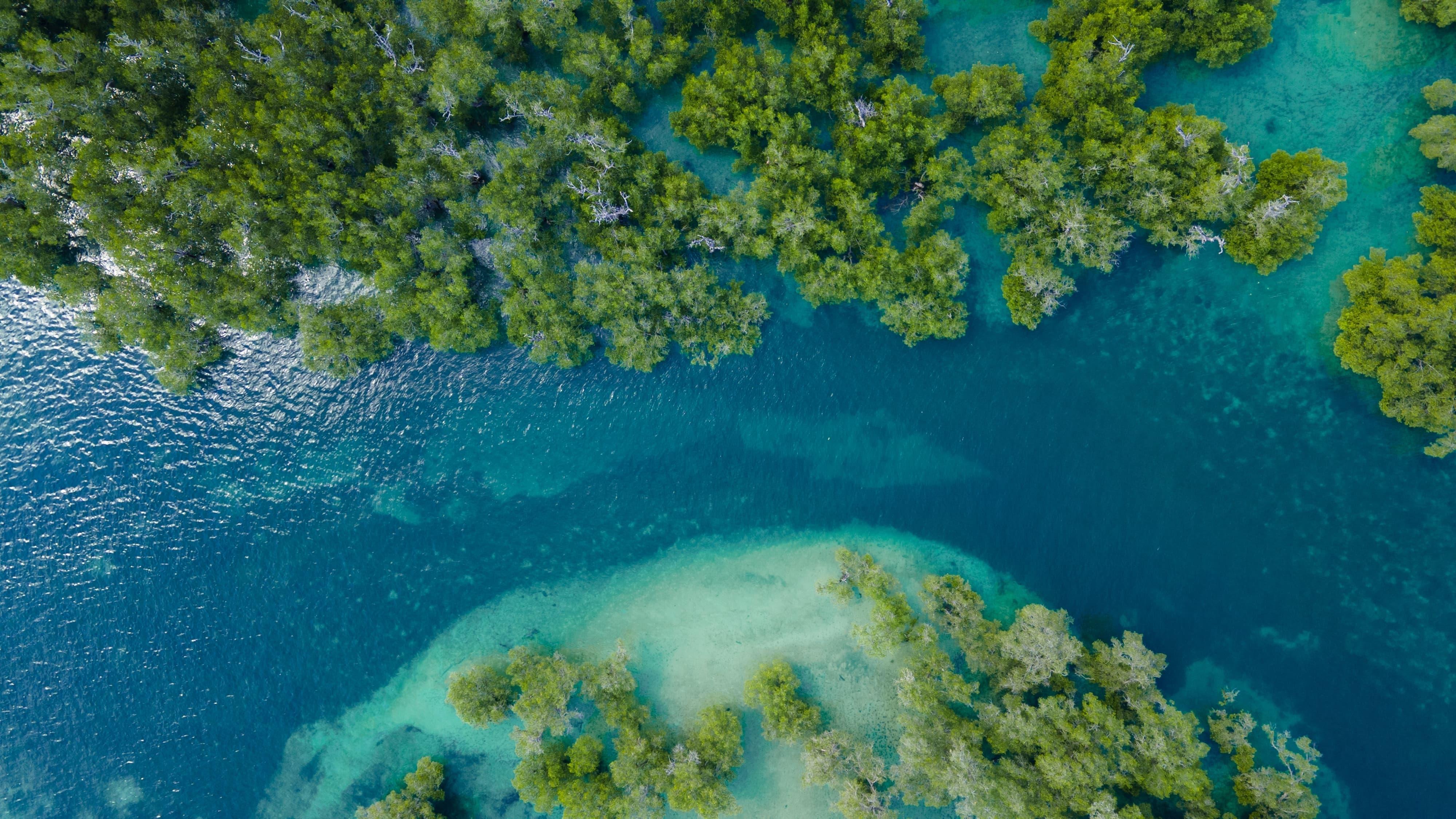 Coastal biodiversity restoration site